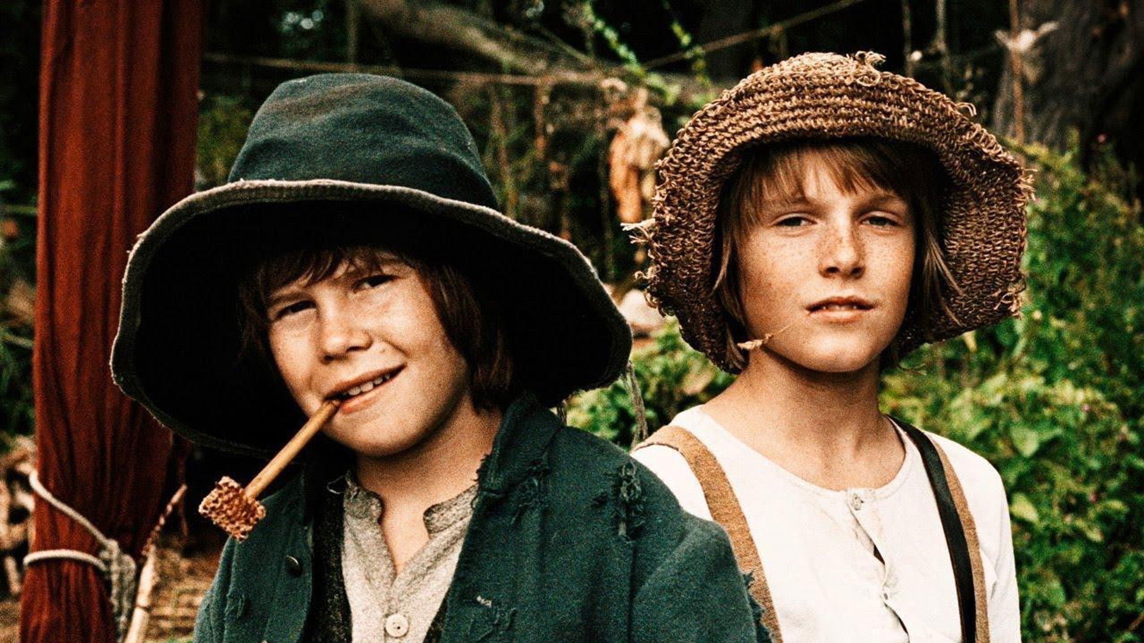 Tom Sawyer and Huckleberry Finn
